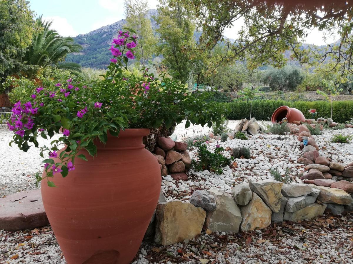 Alojamiento Rural Casa Fuente del Prado La Iruela Exterior foto